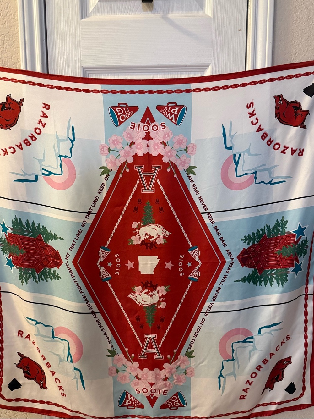 University of Arkansas Silk Scarf -Saturday  Silks